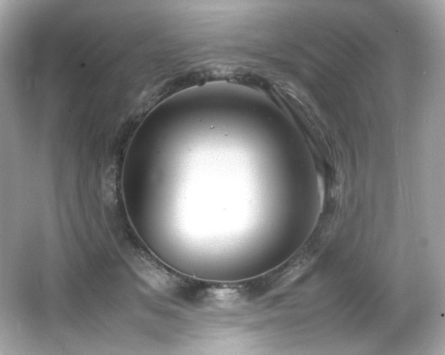 X0000066520509200603171222