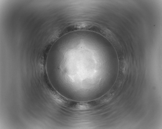 X0000066520510200603171222