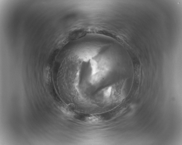 X0000066520511200603171222