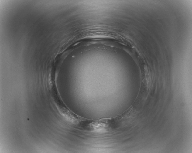 X0000066520512200603171222