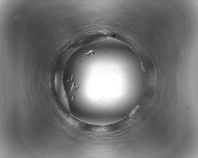 X0000066520513200603171221