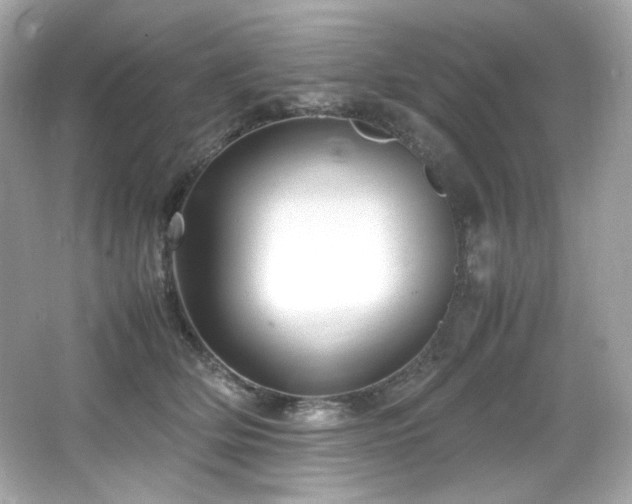 X0000066520514200603171221