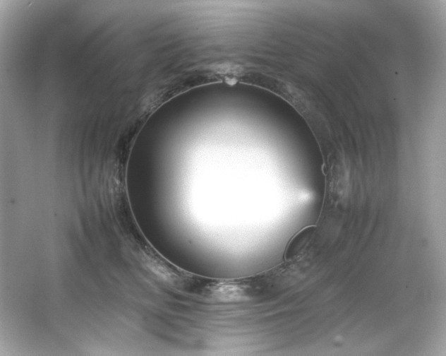 X0000066520518200603171221