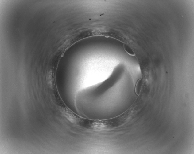 X0000066520519200603171221