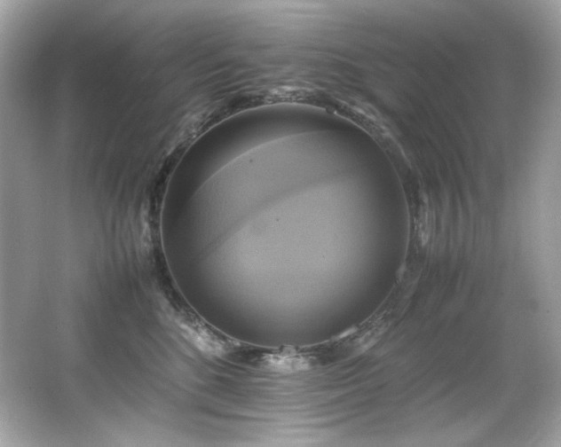 X0000066520520200603171221