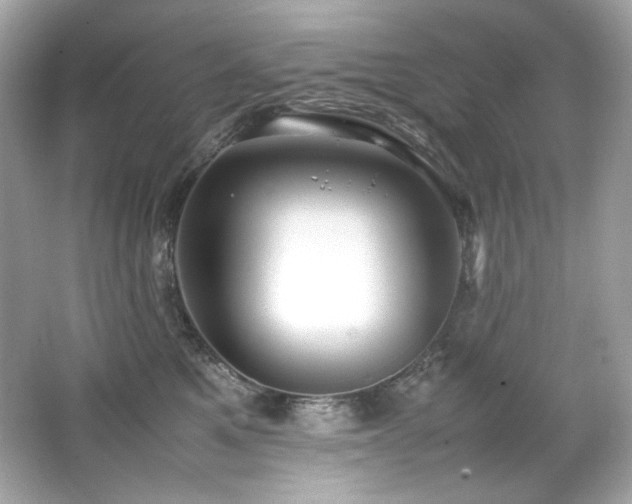 X0000066520521200603171221