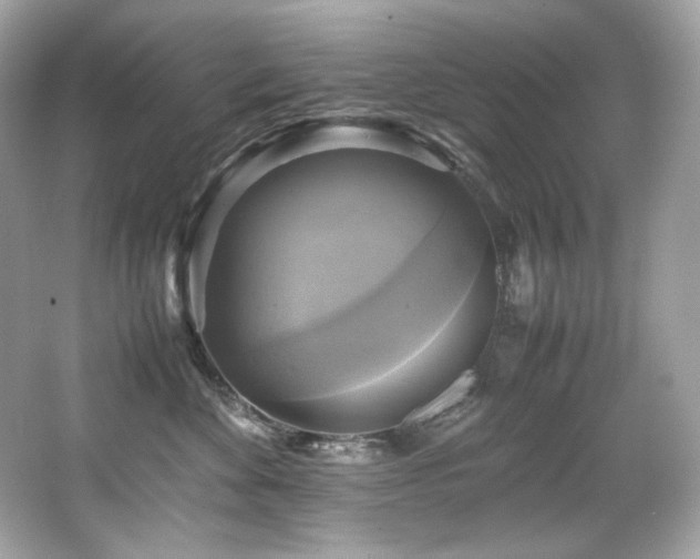 X0000066520524200603171221