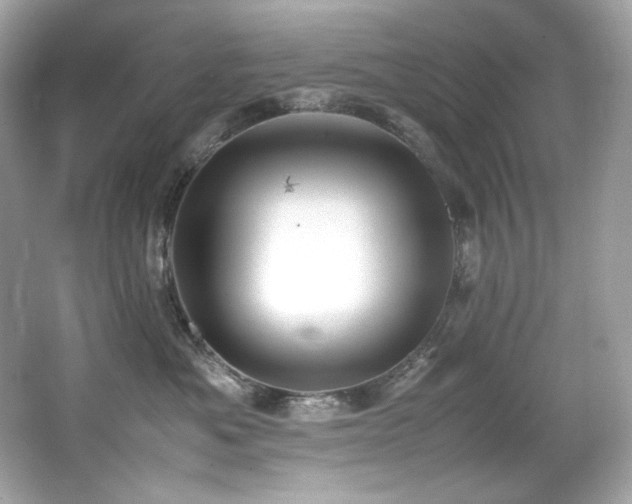 X0000066520525200603171221