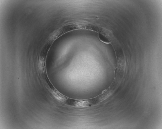 X0000066520527200603171221