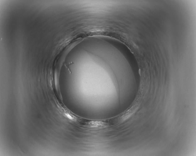 X0000066520528200603171221