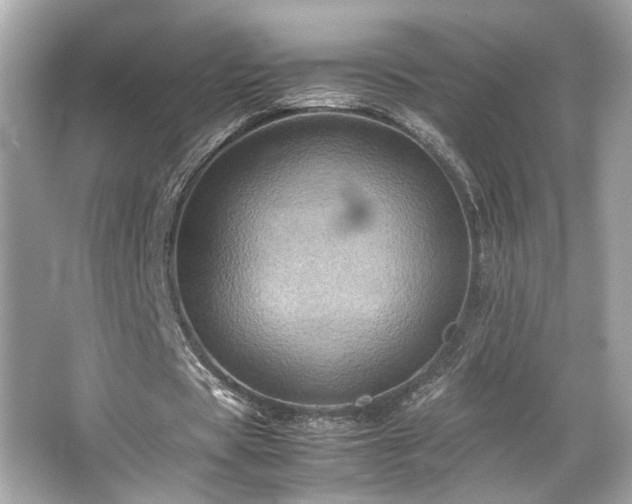 X0000066520529200603171220