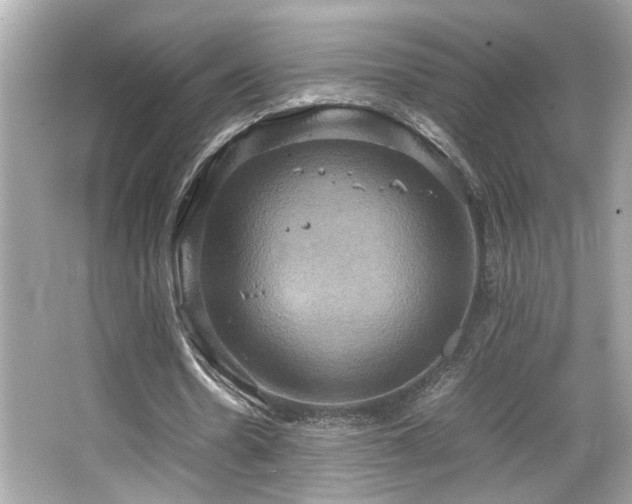 X0000066520530200603171220