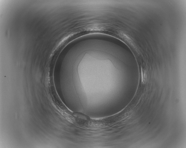 X0000066520531200603171220