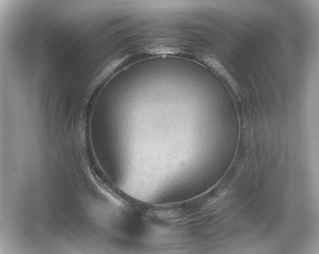 X0000066520533200603171220