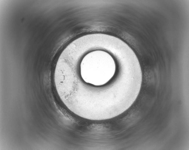 X0000066520534200603171220