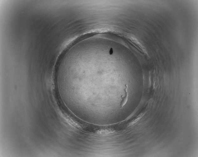 X0000066520536200603171221