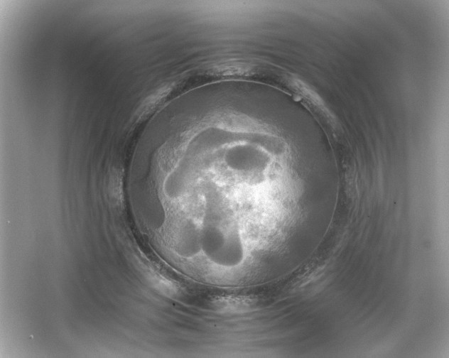 X0000066520537200603171221