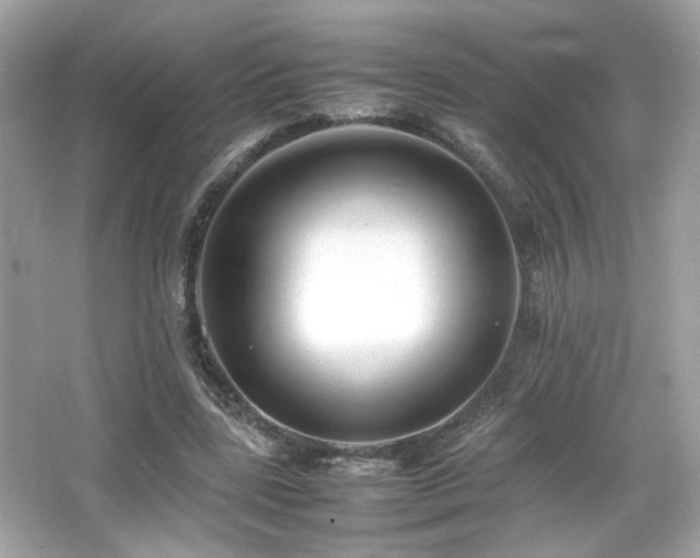 X0000066520539200603171221