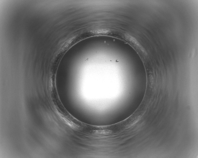 X0000066520541200603171221