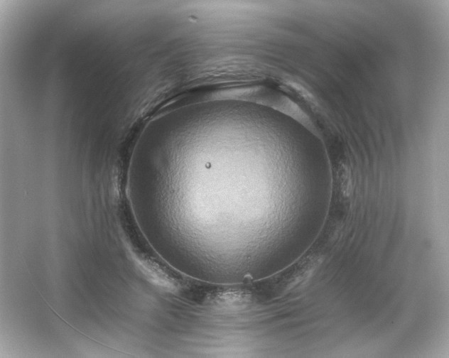 X0000066520546200603171221