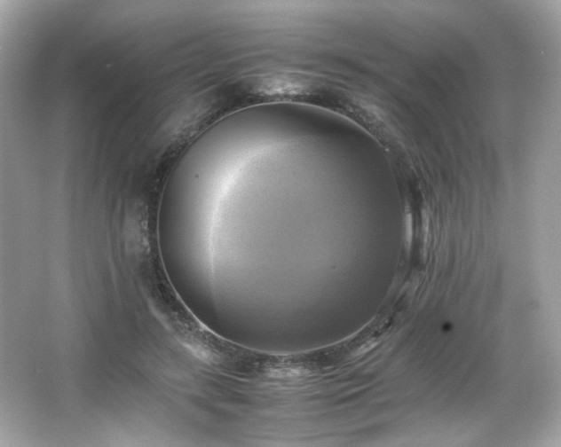 X0000066520547200603171221