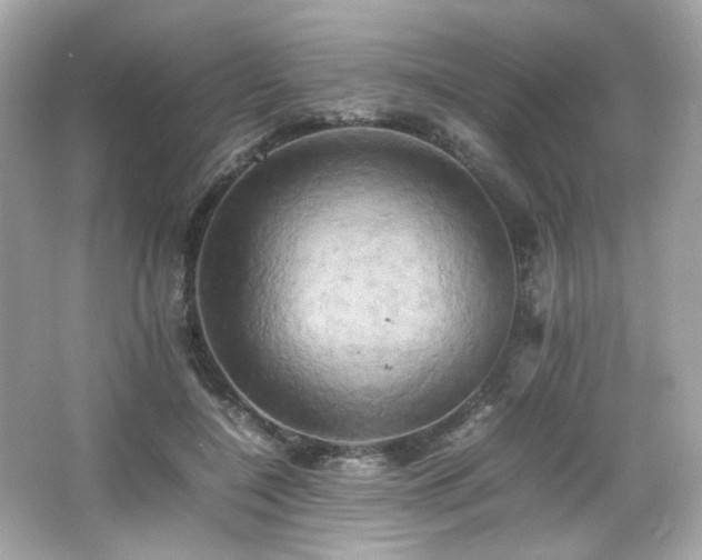 X0000066520548200603171221