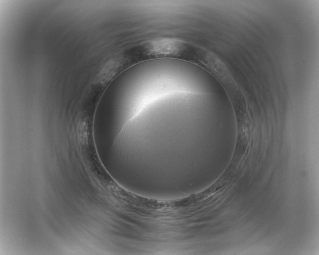 X0000066520551200603171221