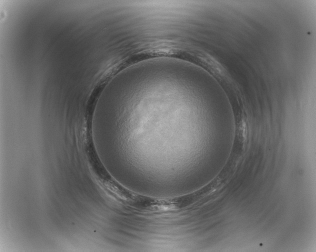 X0000066520552200603171221