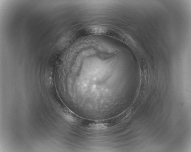 X0000066520553200603171221