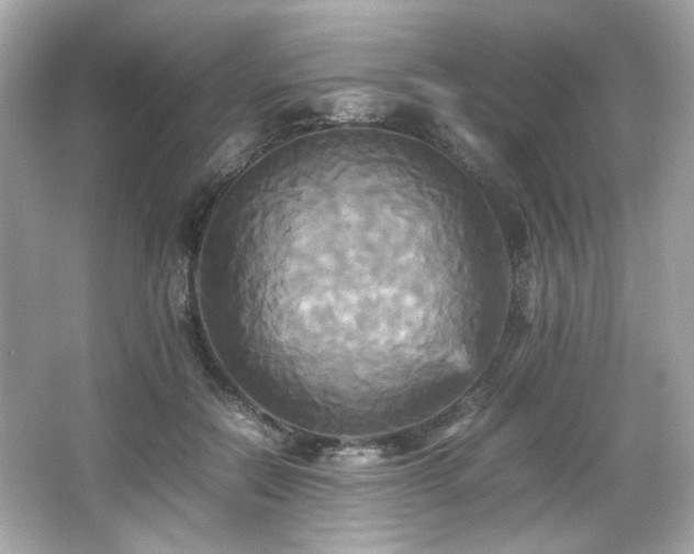 X0000066520554200603171221