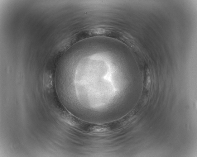 X0000066520555200603171221