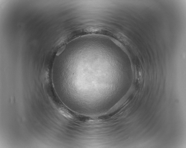 X0000066520556200603171221