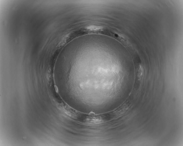 X0000066520559200603171221