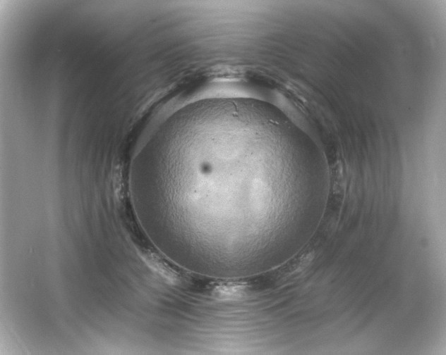 X0000066520560200603171221