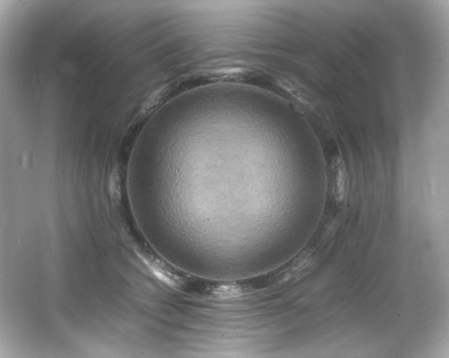 X0000066520562200603171221