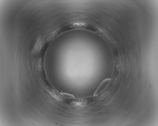 X0000066520563200603171221