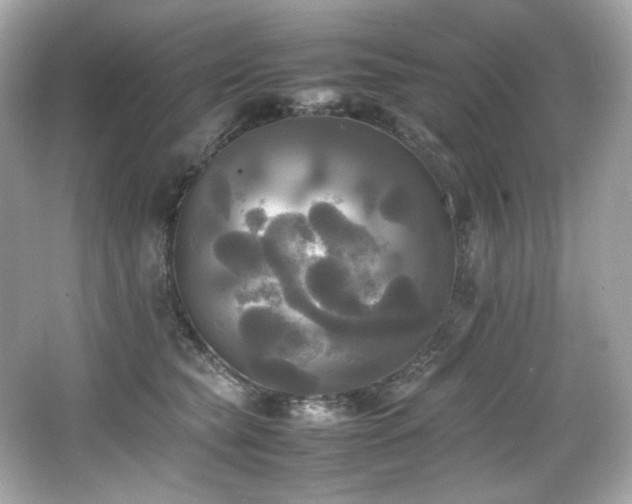 X0000066520565200603171221