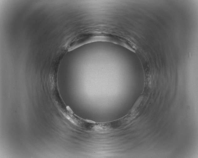 X0000066520568200603171221