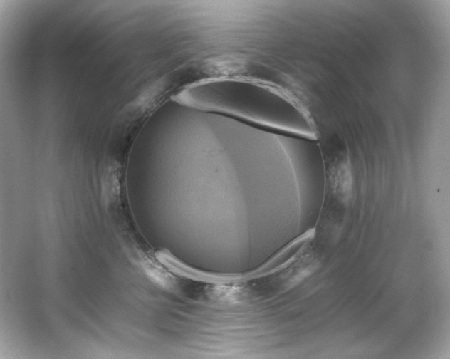 X0000066520570200603171221