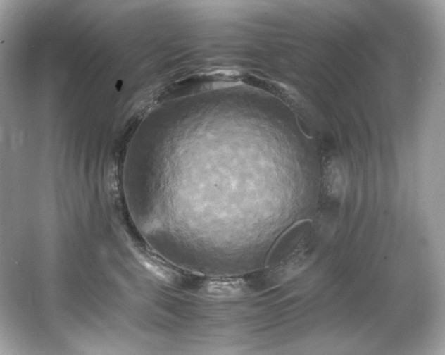 X0000066520571200603171221