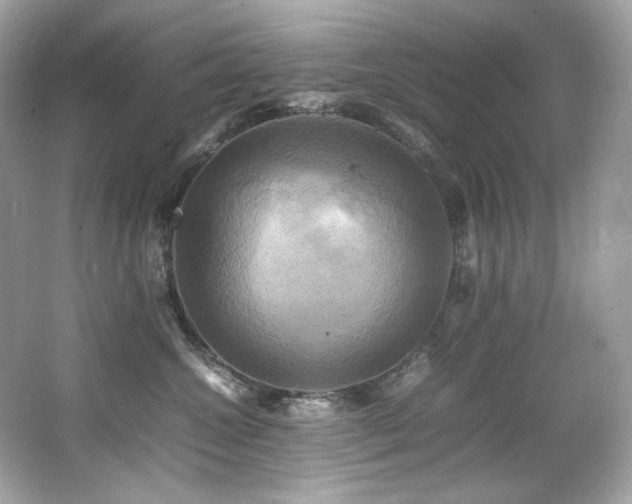 X0000066520572200603171221