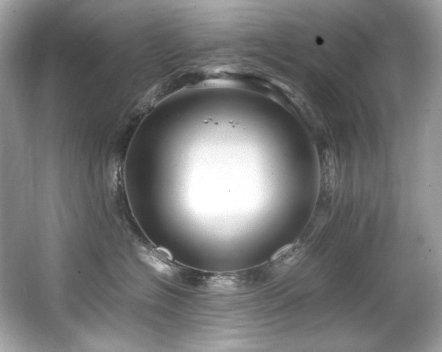 X0000066520574200603171221