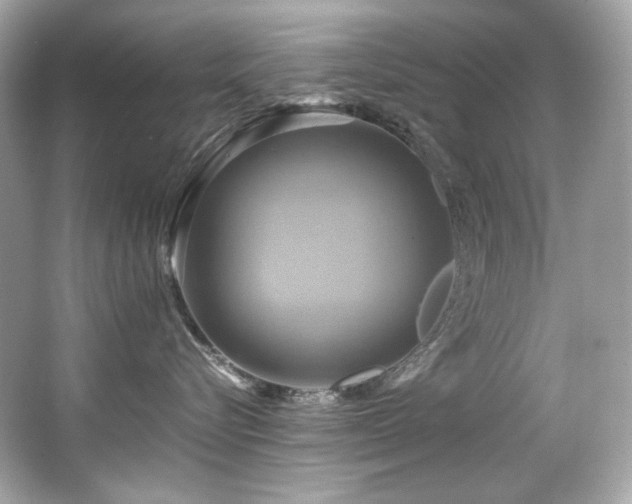 X0000066520576200603171221