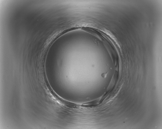 X0000066520577200603171220