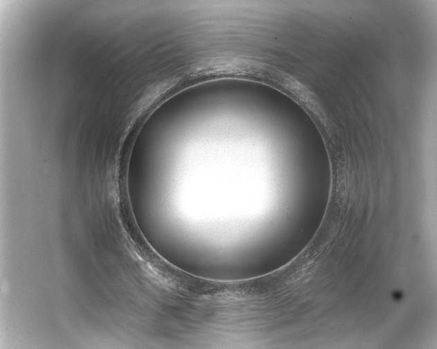 X0000066520578200603171220