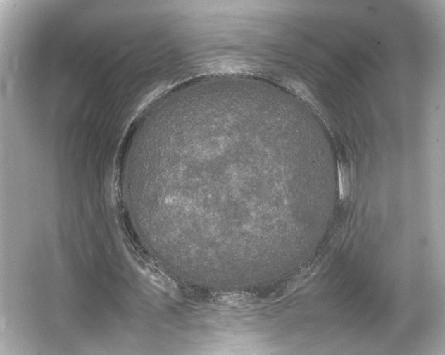 X0000066520579200603171220