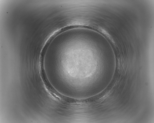 X0000066520580200603171220