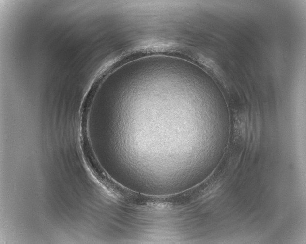 X0000066520582200603171220