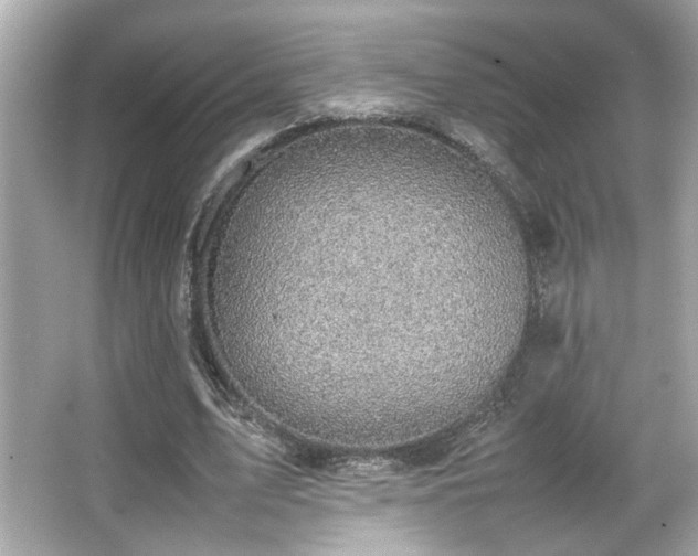 X0000066520583200603171220