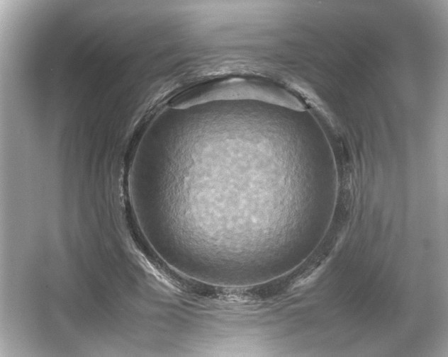 X0000066520585200603171220